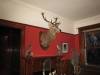The front hall  » Click to zoom ->